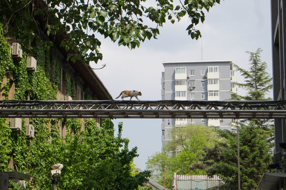 Beijing – Quiet Everyday Street Life