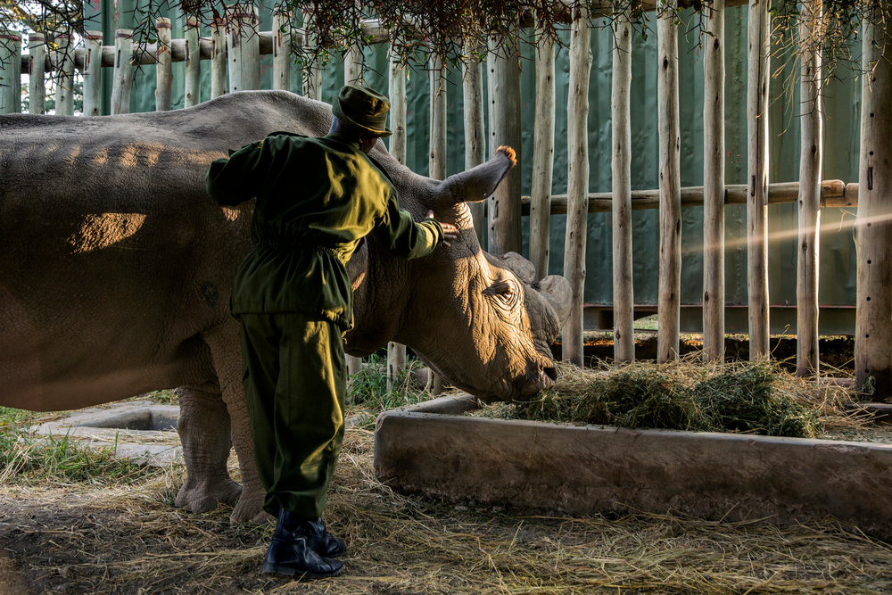 Sudan: Saving the Last