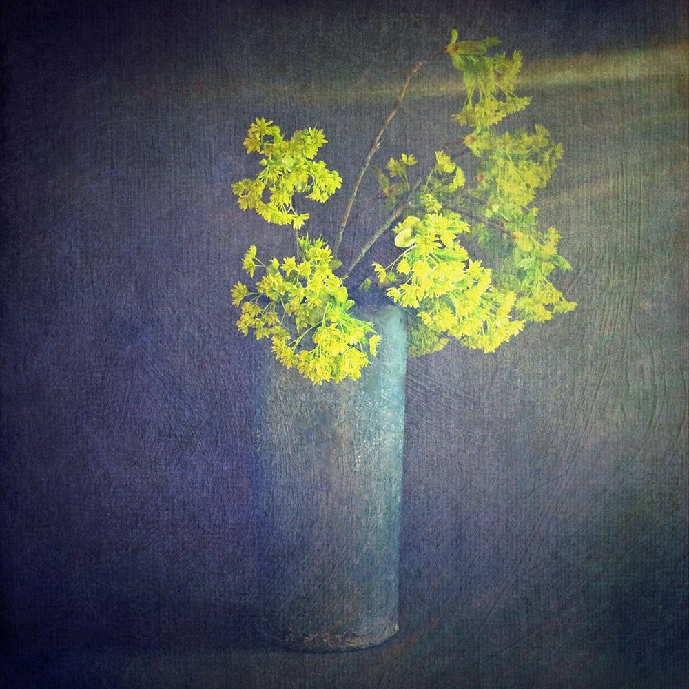 FLORILEGIUM
