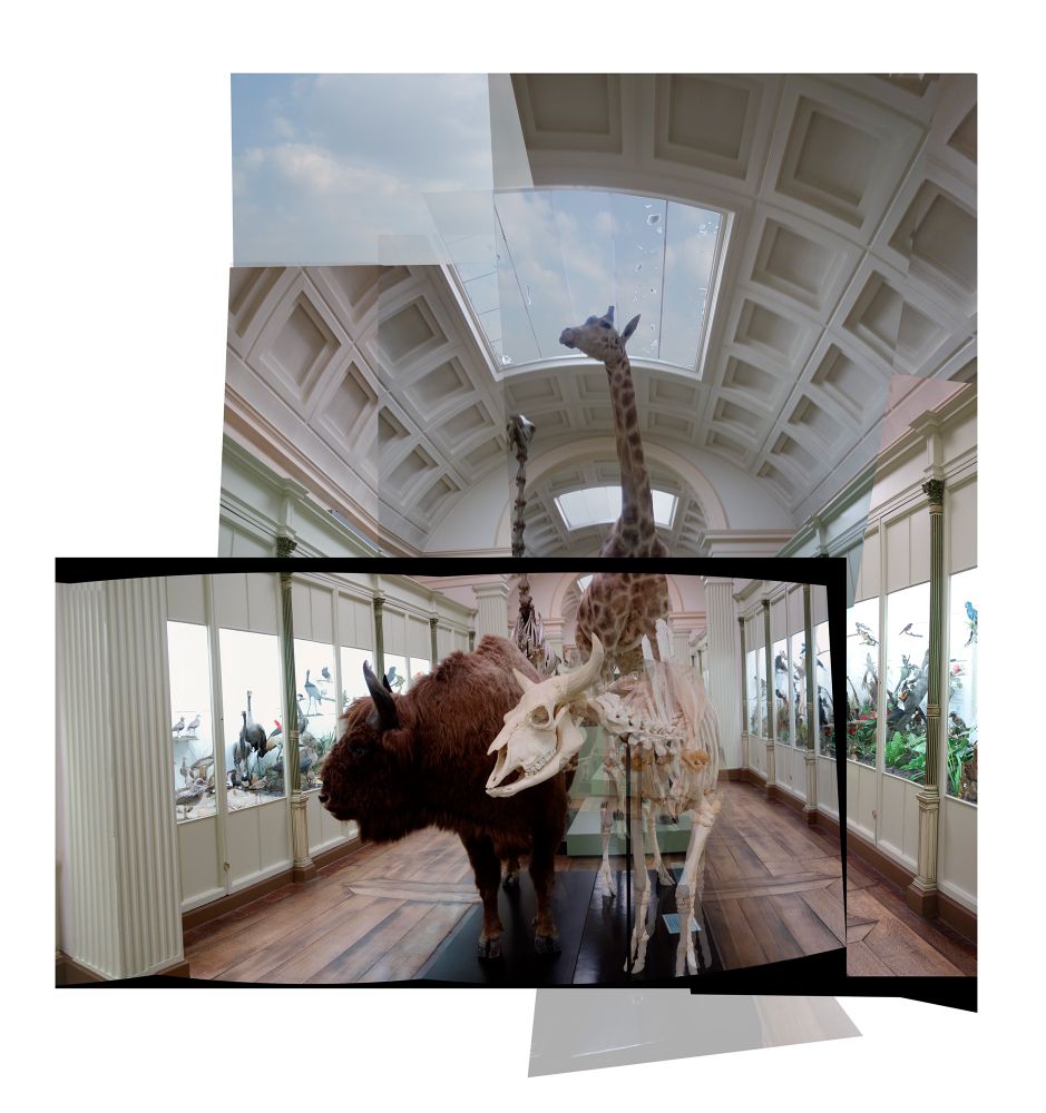 Reconstructions_Museums