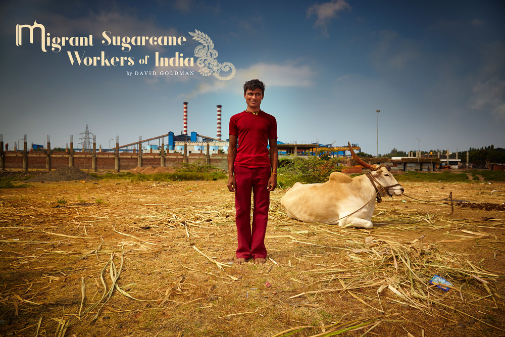 Migrant Sugarcane Workers of India