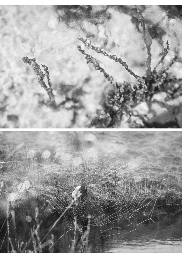 Being, Entombed