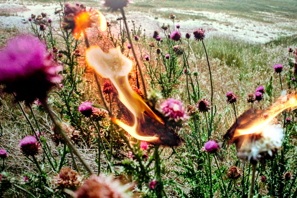 Constructing a Meadow