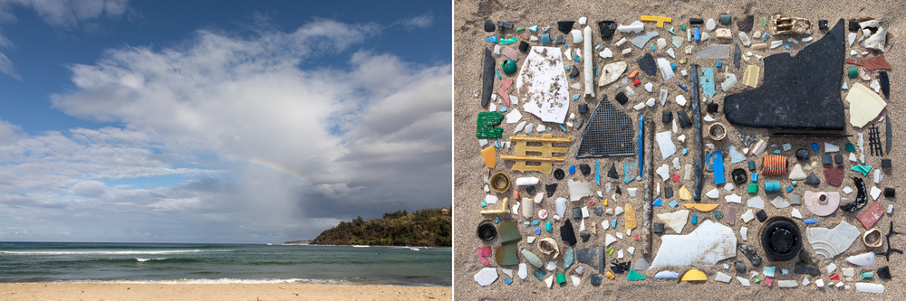 Washed Ashore Hawaiian Islands: Marine Plastic Typology