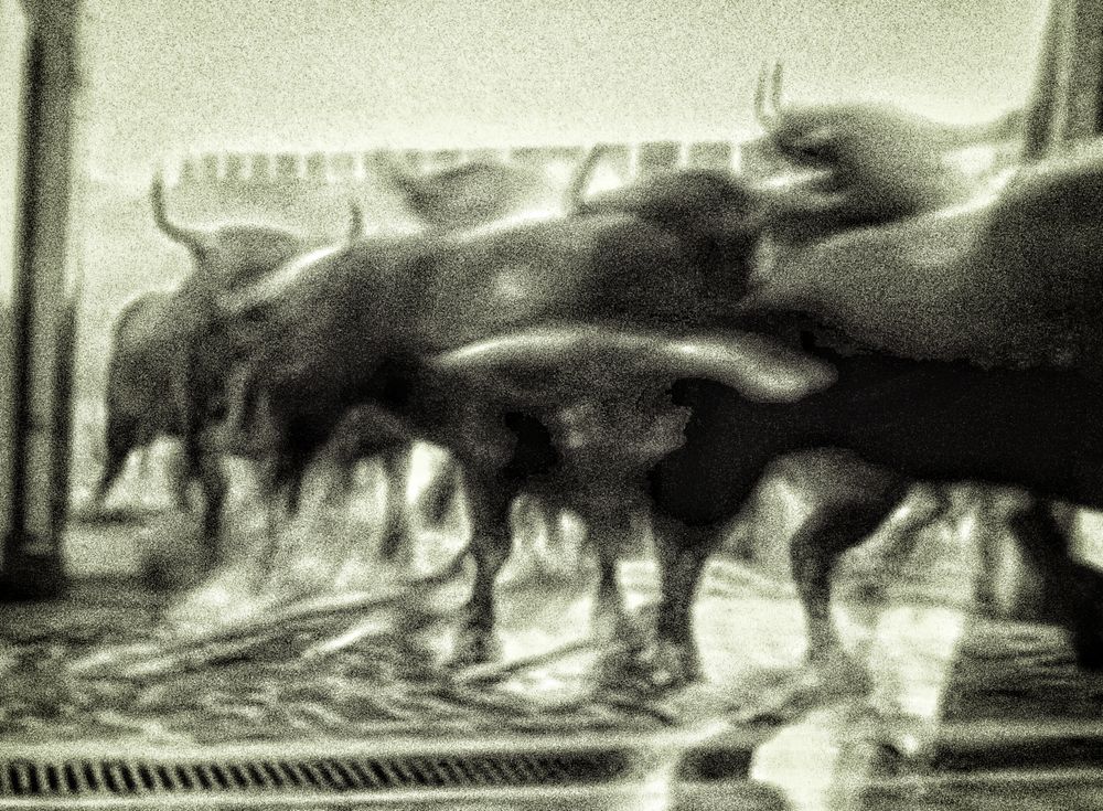 FROM-THE-SOFA Bull Run