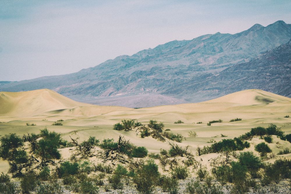 Snapshots of American Society in contradiction to the pastoral country