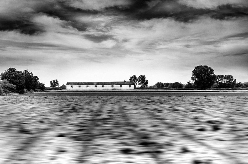 Where Afterimage meets Emotion