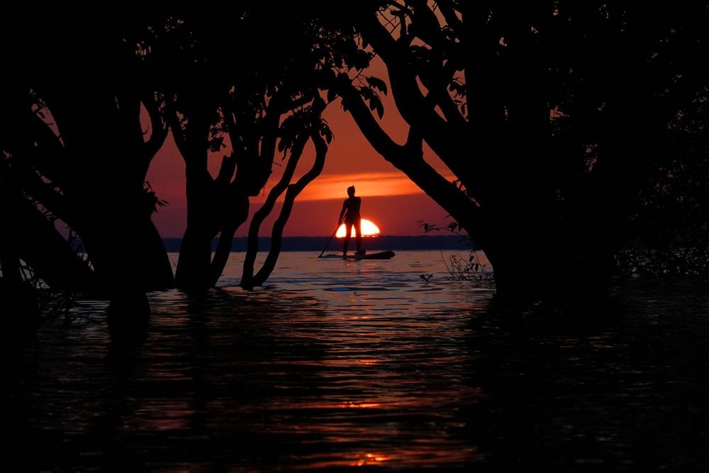 Sunsets & Silhouettes