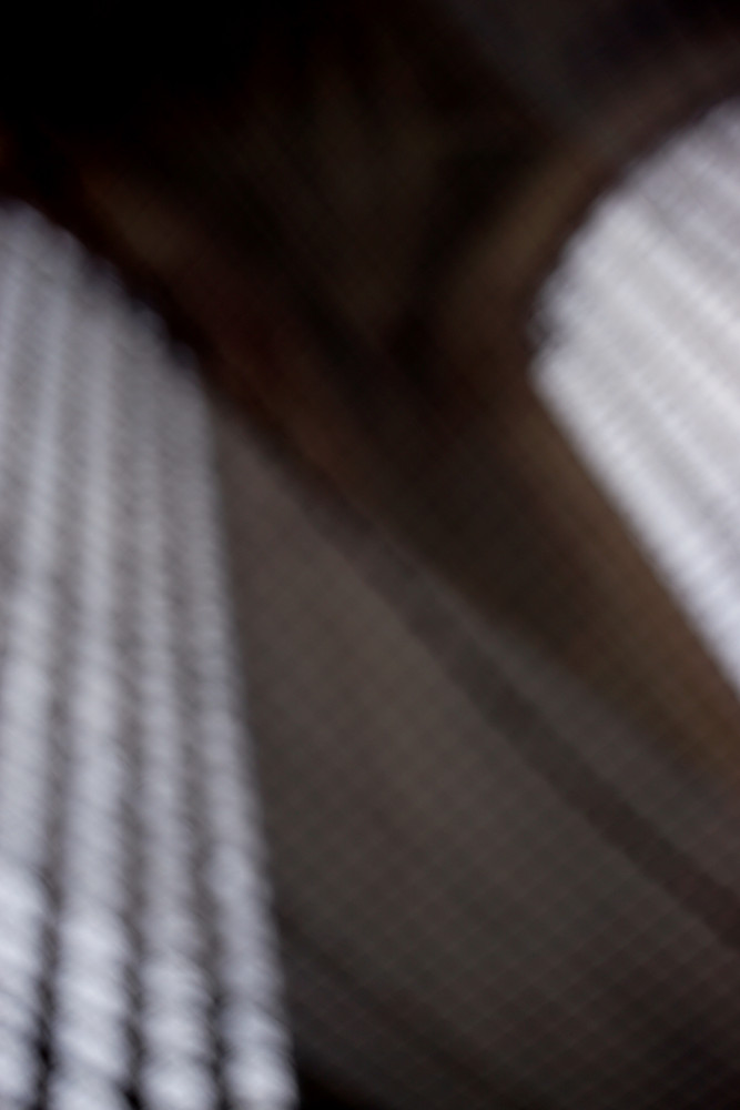 Web