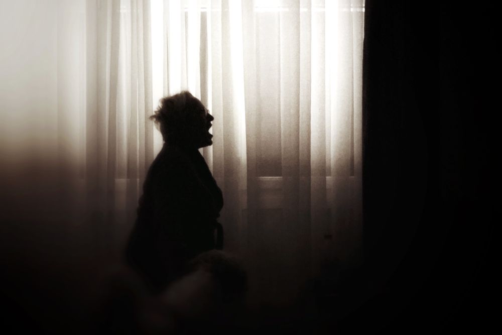 What the Day Owes the Night