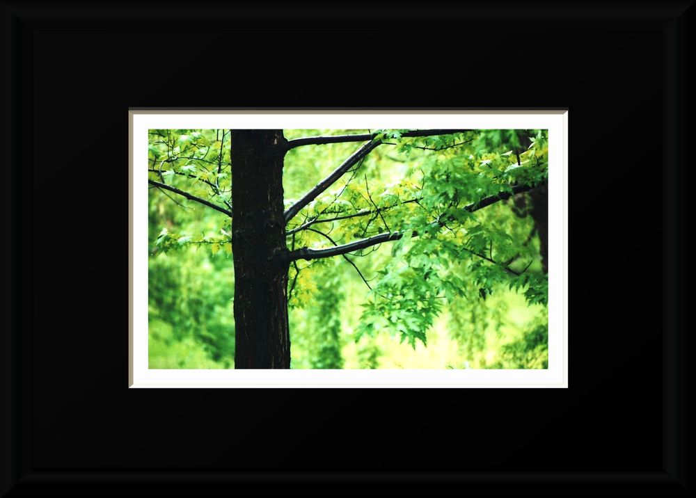 Robert's work