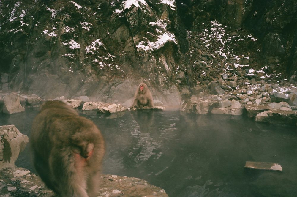 A Winter Trip in Japan