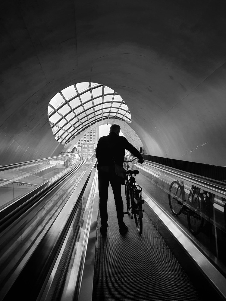 Life in transit