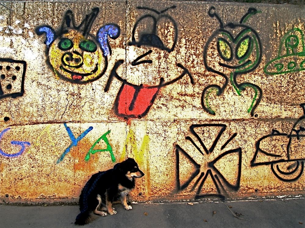GRAFFITICITI