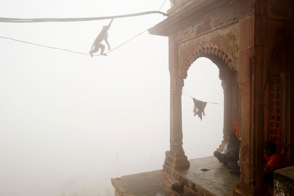 VARANASI MASSALA
