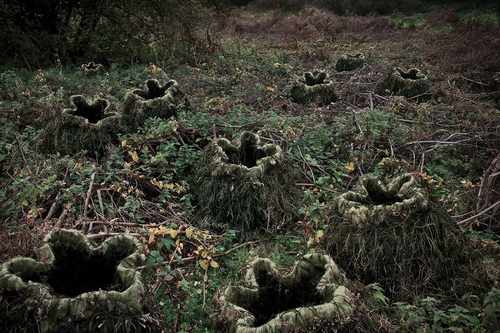 Another Green World, 2013