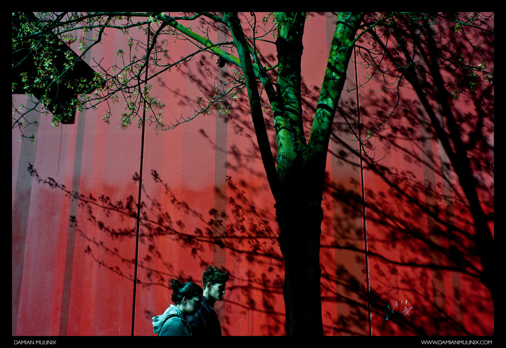 Wandering