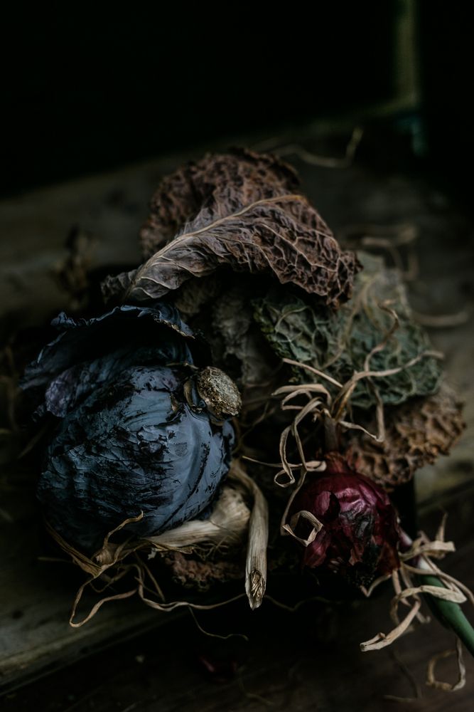 Perish the thought, photos on transience