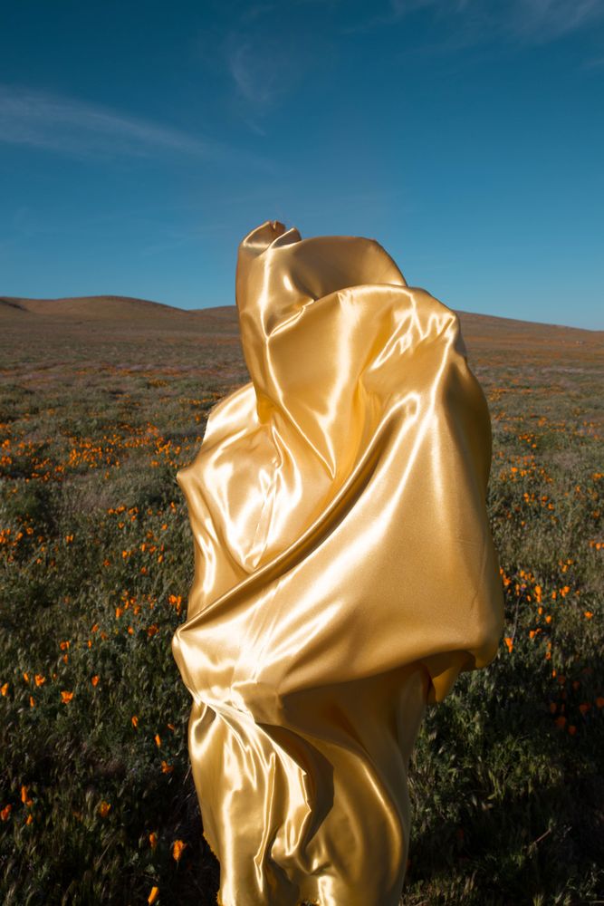 Acid Boy