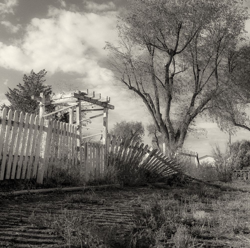 Skip Smith Lind, WA LensCulture