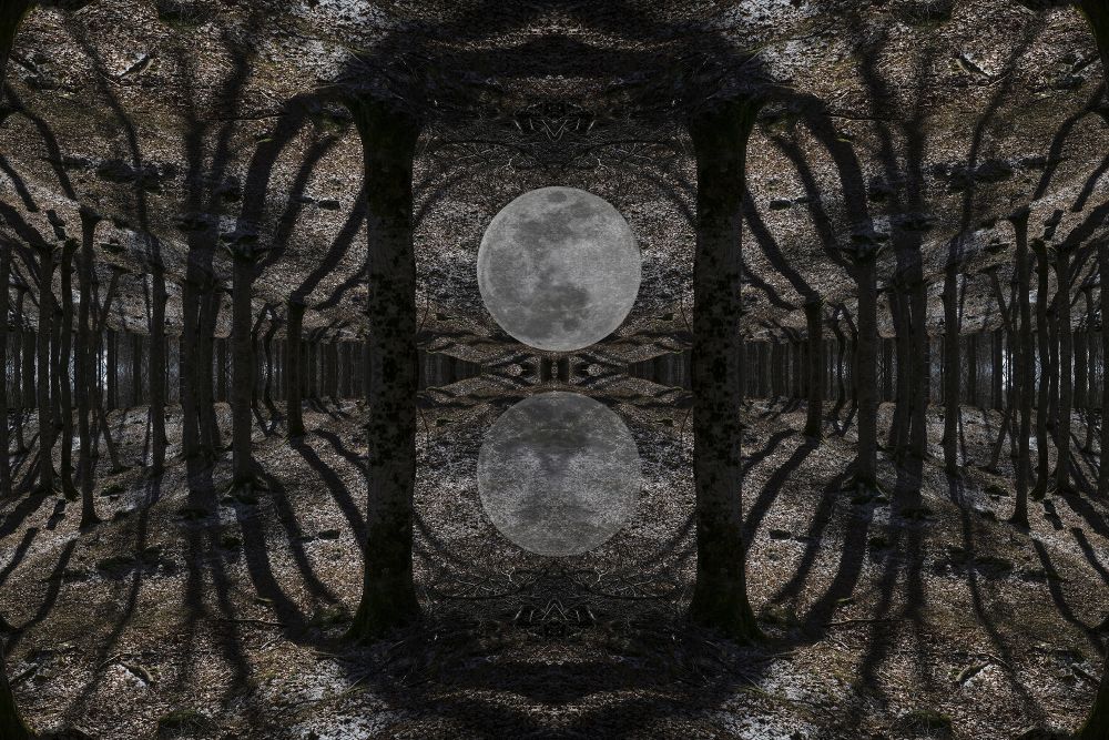 Parallel Universes