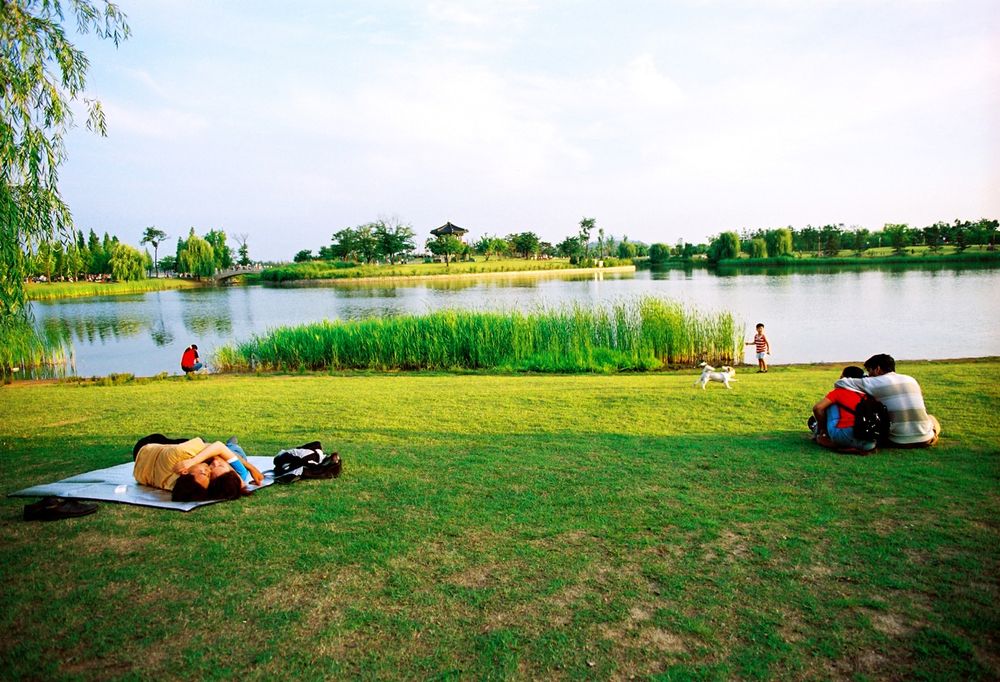 The Paradise Island