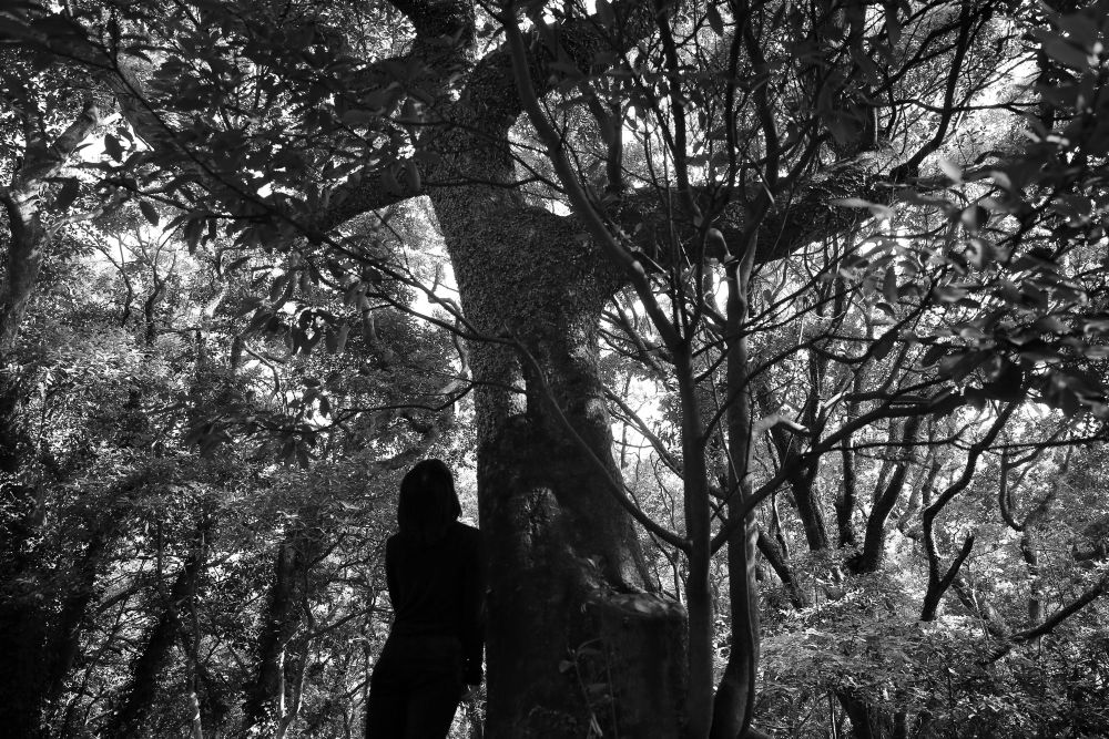 Sooyeoun Baek What is an artist body? LensCulture