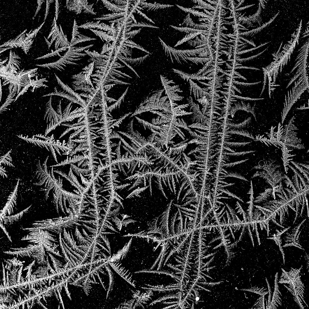 The tales of the frozen window