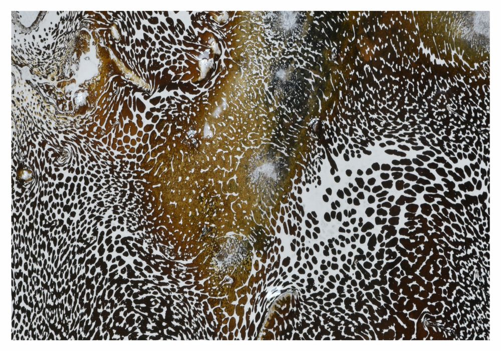 From the series The Impossibility of Abstraction