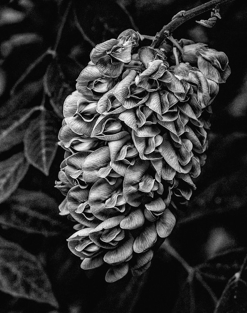 Submission to the Black & White Photography Awards 2018