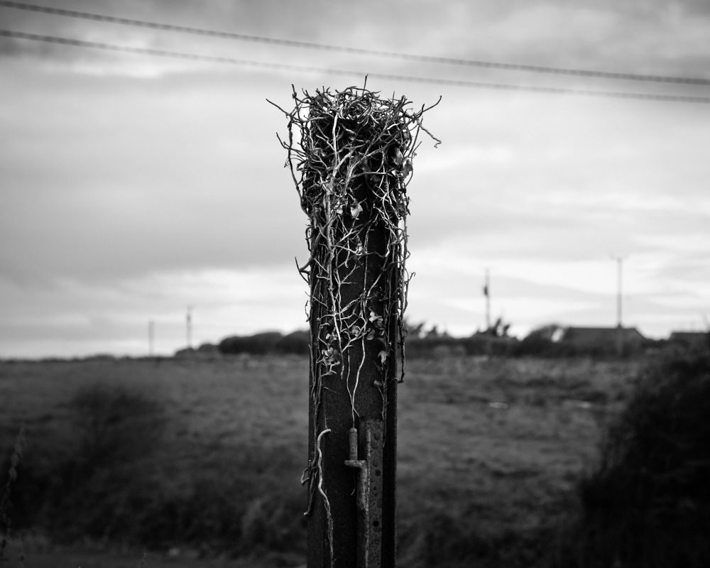 Steve Meyler Loftus The Hall of Dreams LensCulture