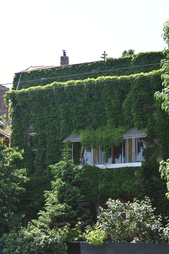 Urban Nature