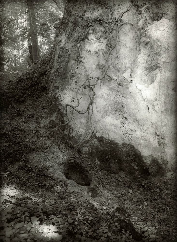 lost valley