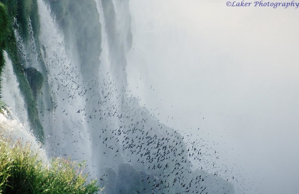 Waterfalls