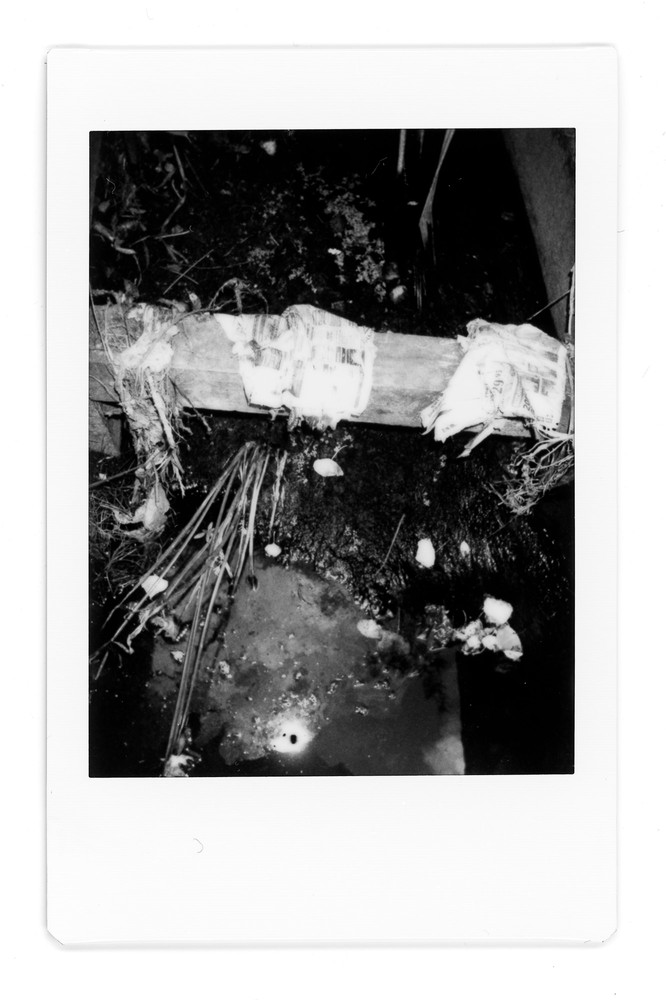 Remnant - (Tāmaki River)