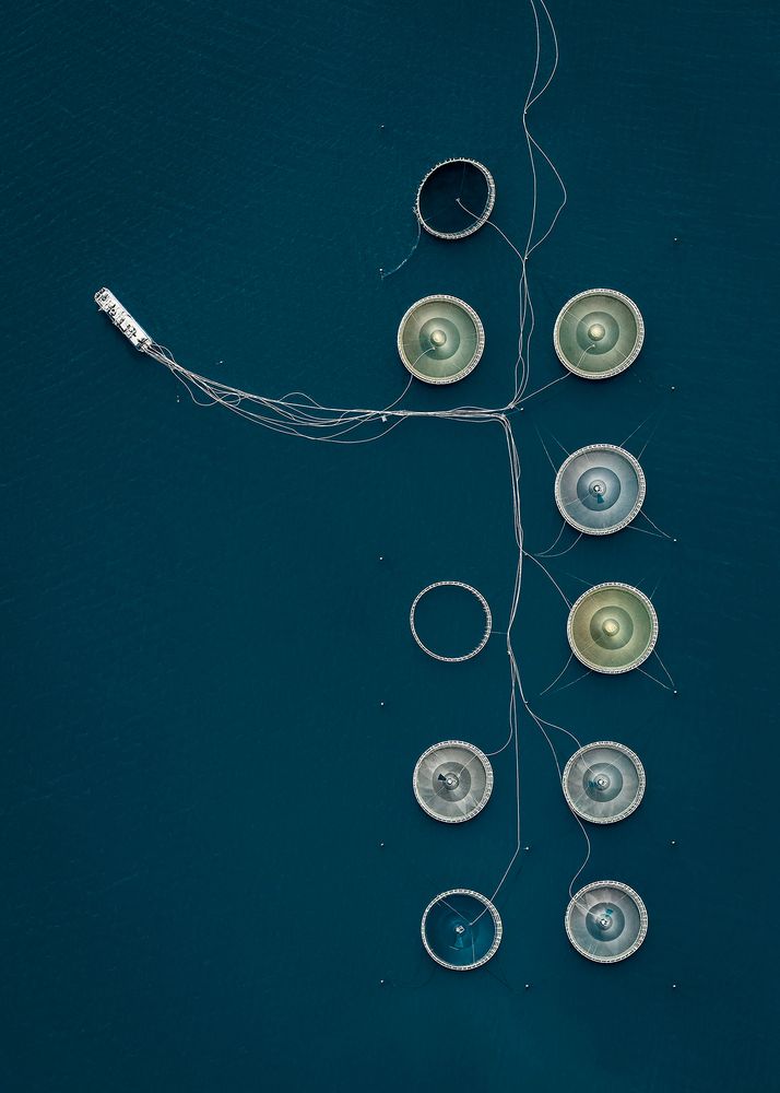 Ordered Abstraction