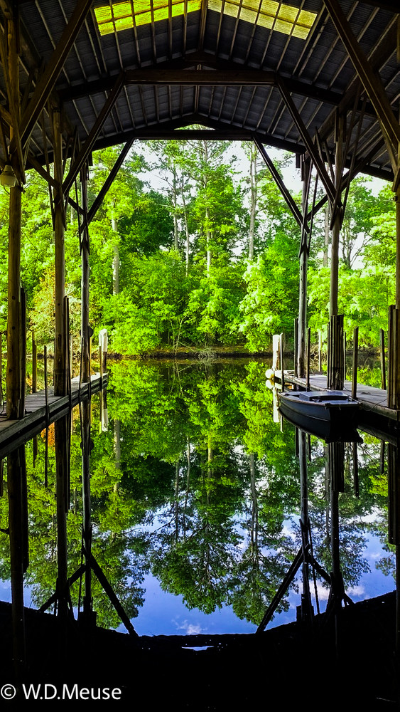 Water's Edge