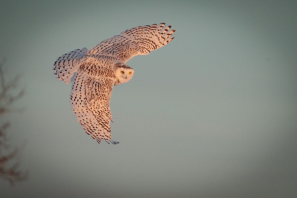 First Flight