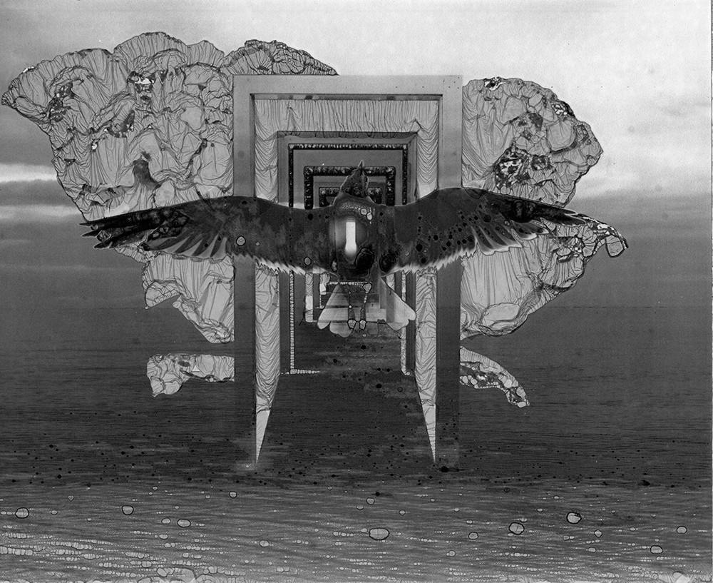 Metamorphosis