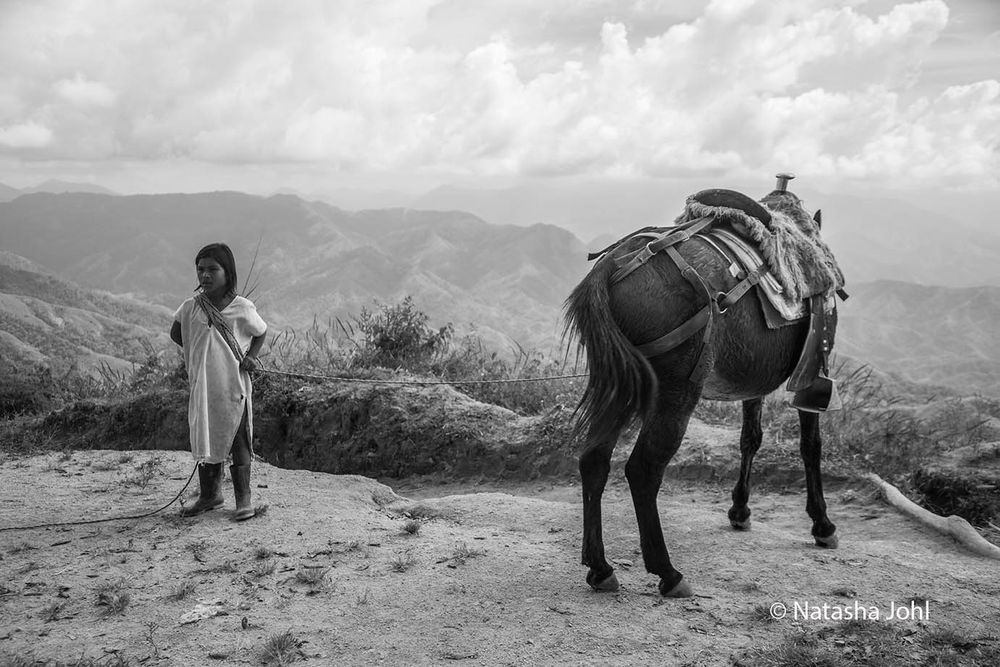 Arhuaco
