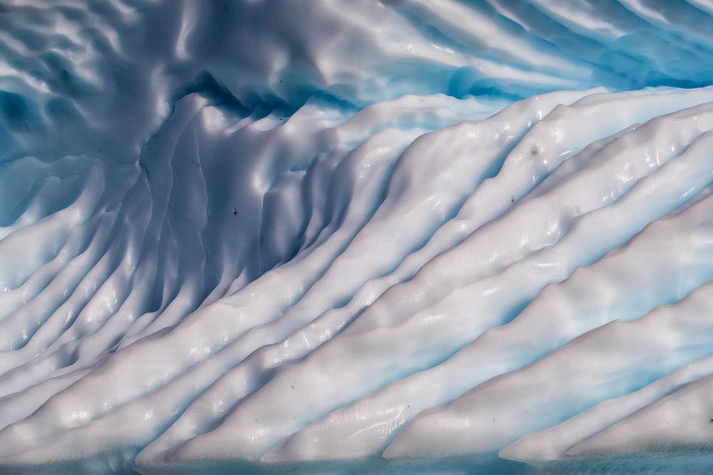 Antarctic Expressions