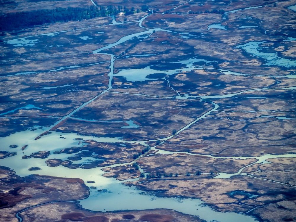 Two Seasons of Long Point