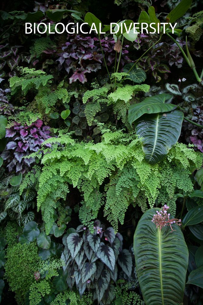 Green Space