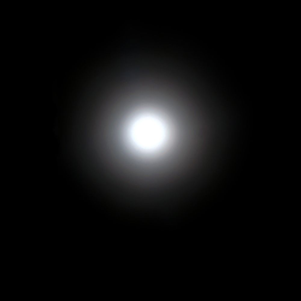 Portraits of the Sun