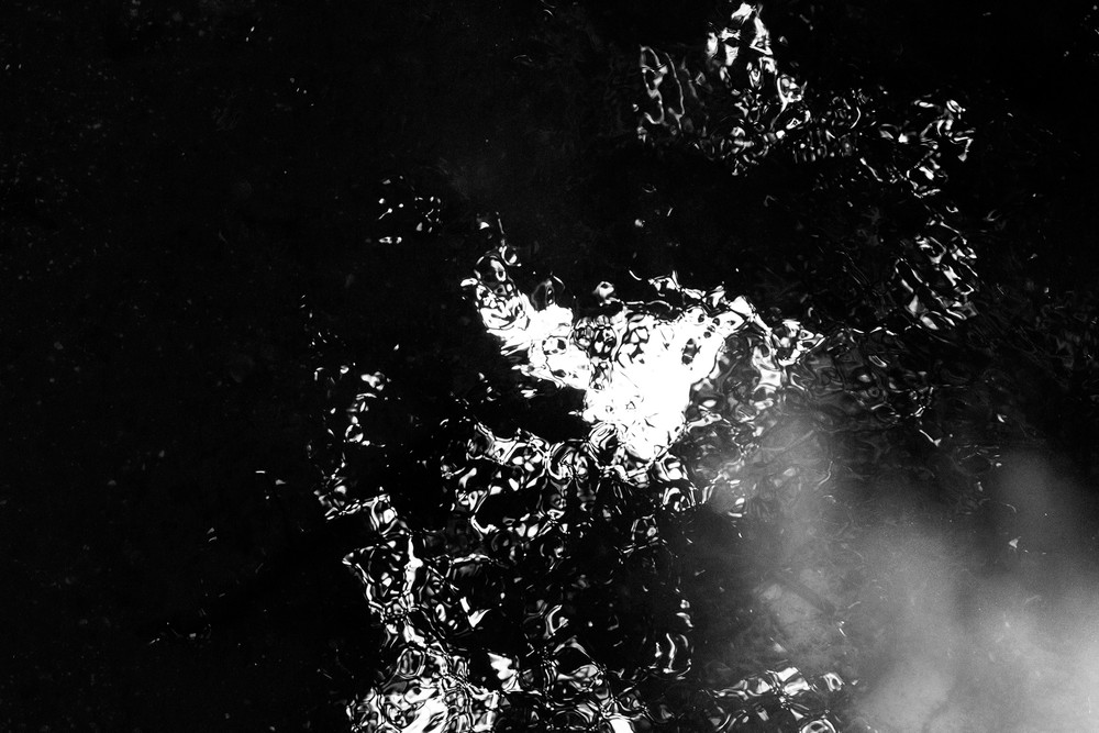 Primordia - (Te Komiti, Bucklands Beach)