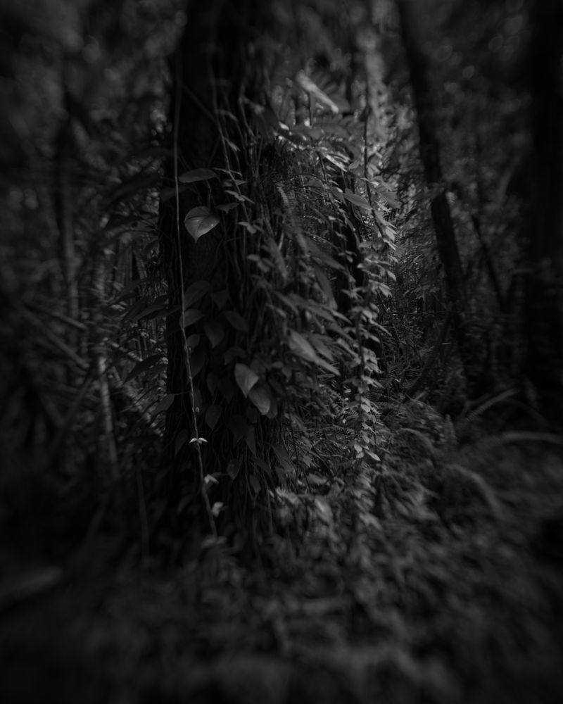 Archeology of Secrets