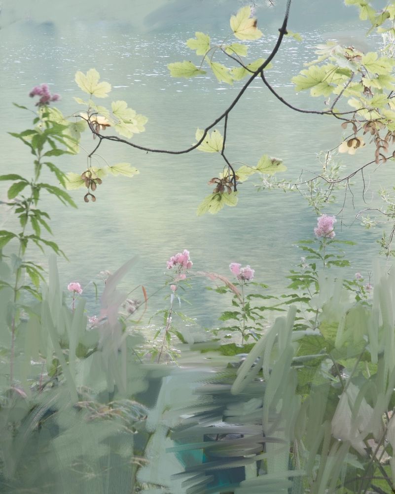 landscapes