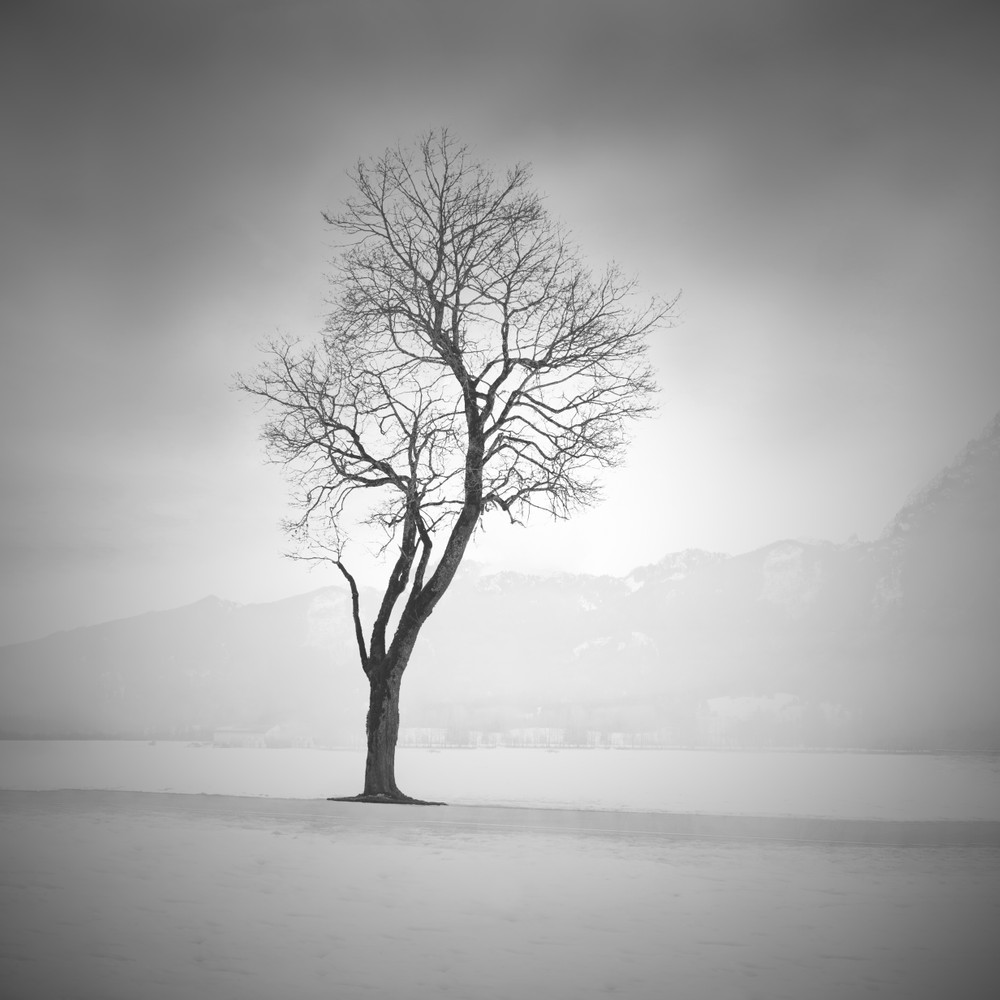 MINIMAL 