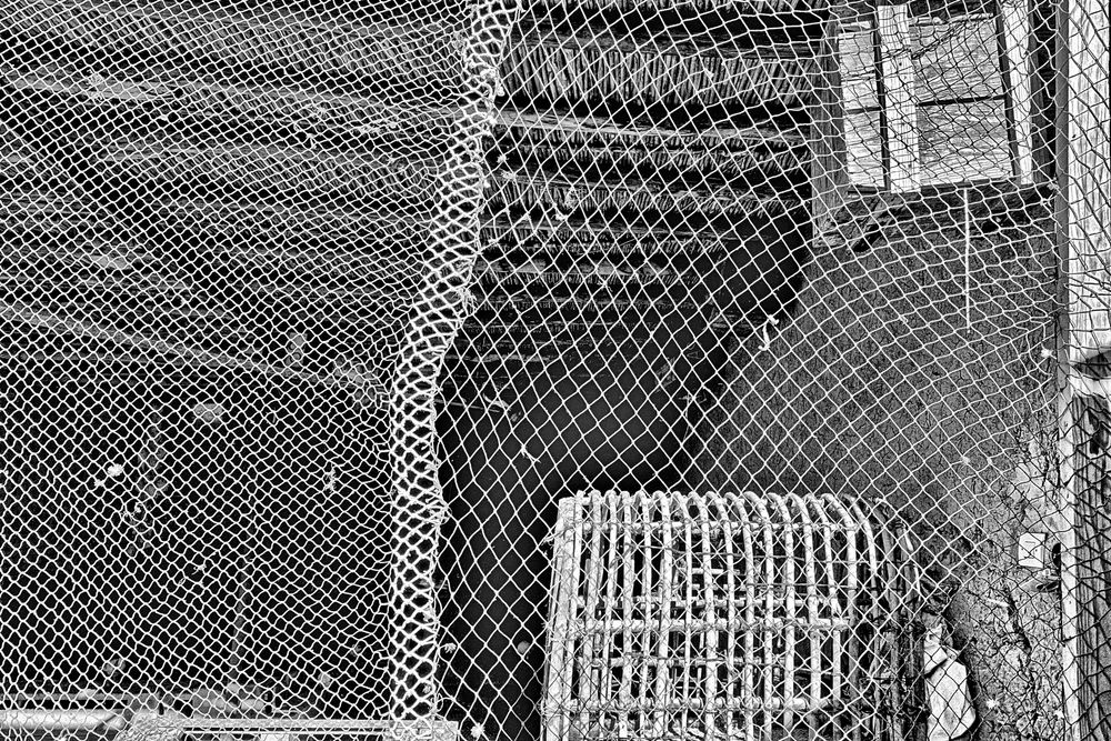 Faktury, formy, kolory / Structures, forms, colours