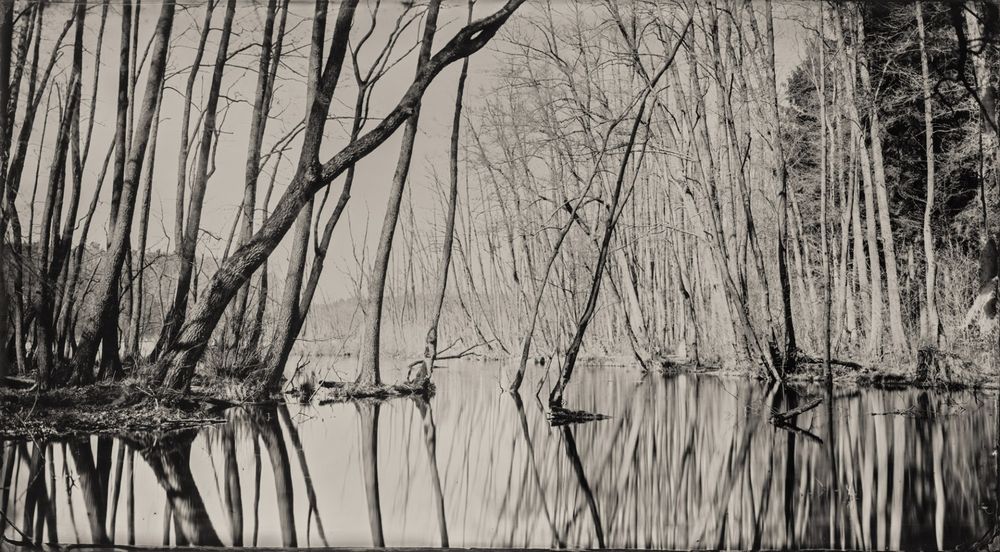 Wet Plate Landscapes - SOURCE